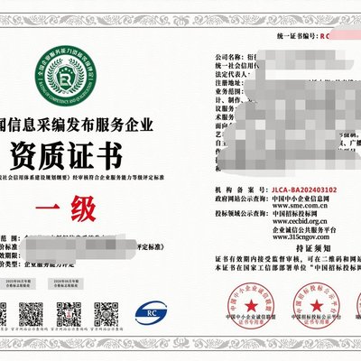2024年互聯(lián)網(wǎng)新聞信息服務(wù)企業(yè)資質(zhì)（一級(jí)）與信息技術(shù)咨詢服務(wù) 行業(yè)標(biāo)準(zhǔn)、價(jià)值與戰(zhàn)略協(xié)同